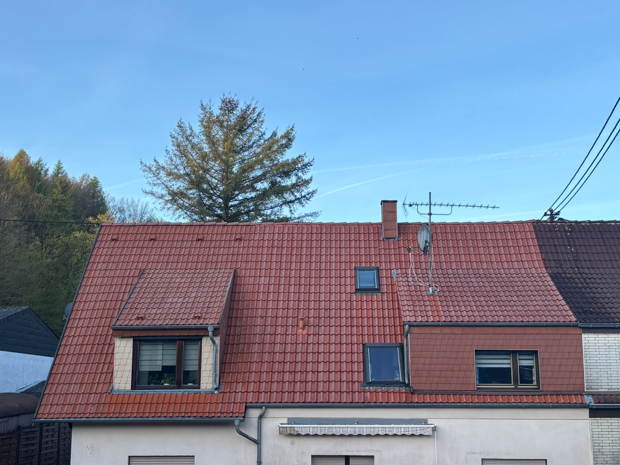 Dach nach der Reinigung