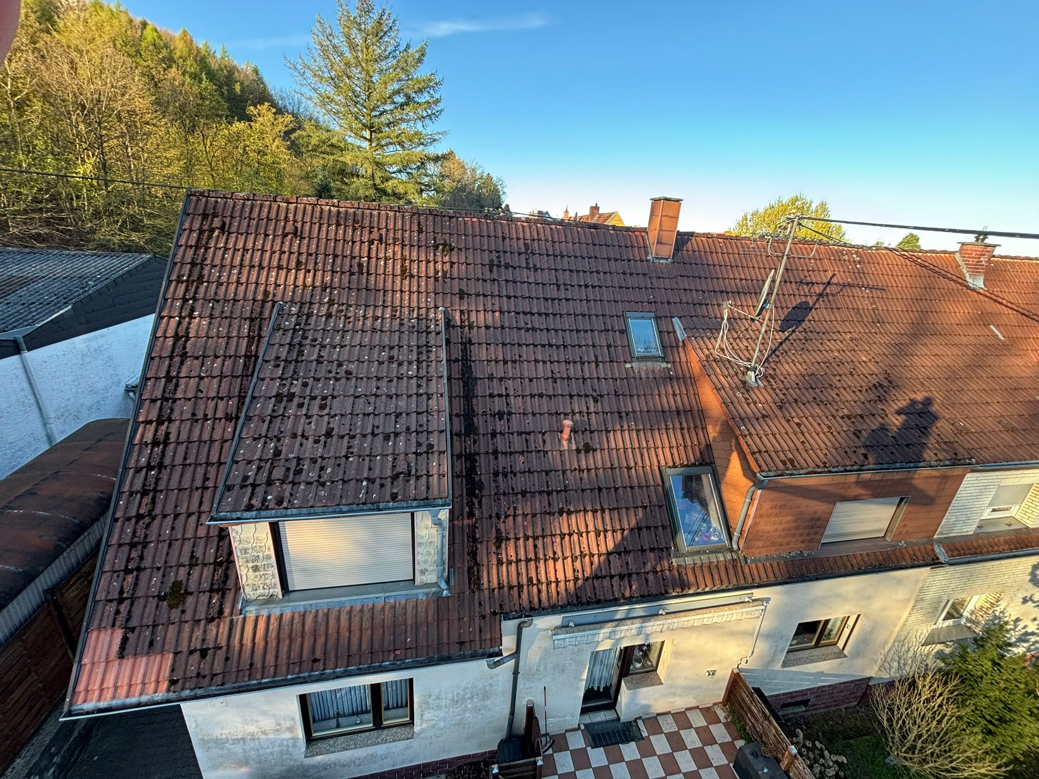 Dach vor der Reinigung