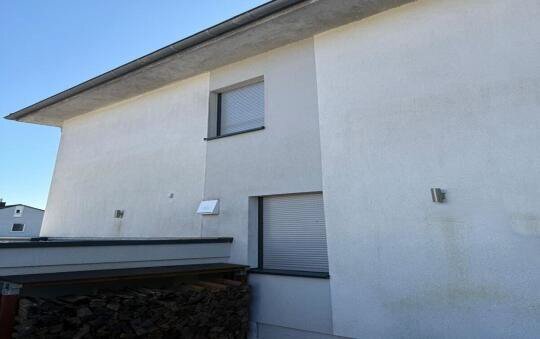 Fassade vor der Reinigung